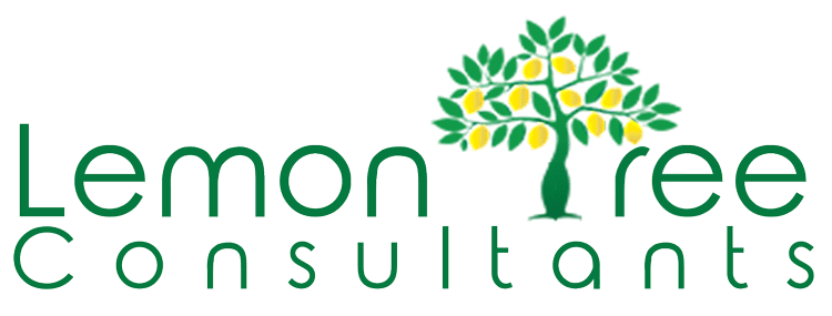 Lemon Tree Consultants Impact Consulting