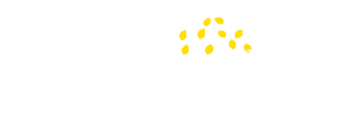 Lemon Tree Consultants Impact Consulting